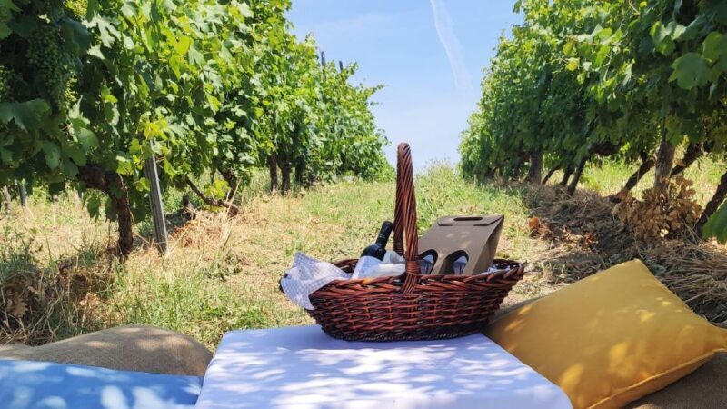 Monferrato: Garetto Wine Estate Tour and Picnic Private - Key Points