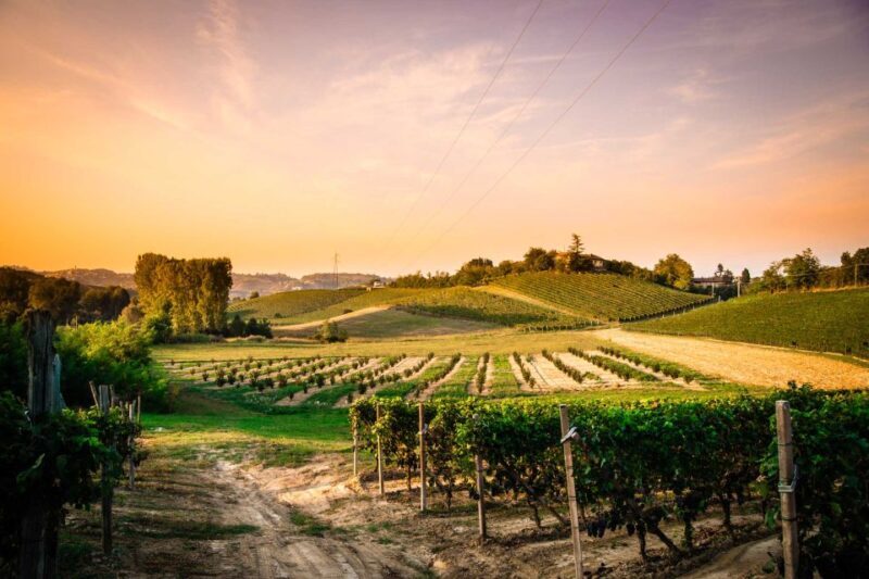 Monferrato: Garetto Wine Estate Tour and Picnic Private - FAQ