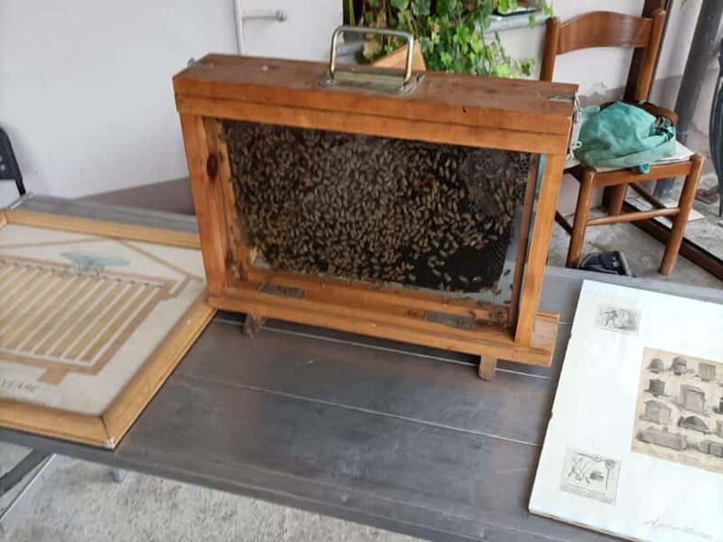 Monferrato: Honey and Mead Tasting Experience - Exploring the Honey and Mead Tasting Experience in Monferrato