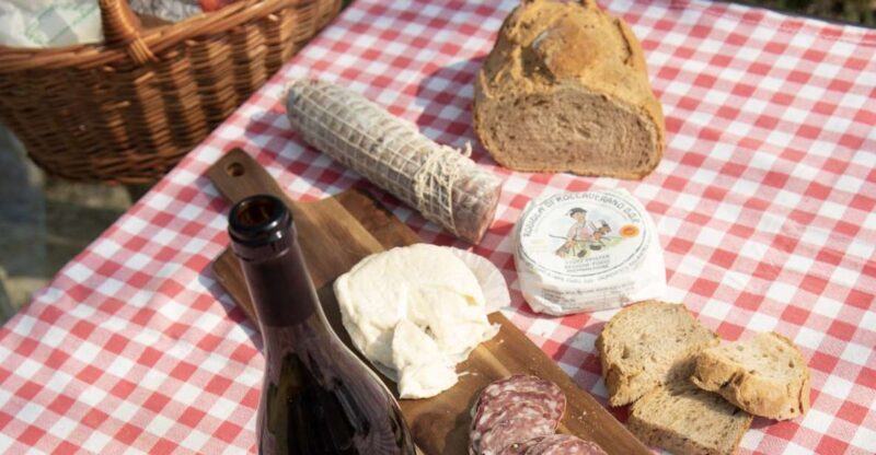 Monferrato: Wine Tour & Picnic in the Vineyards - An In-Depth Look at the Monferrato Wine Tour & Picnic