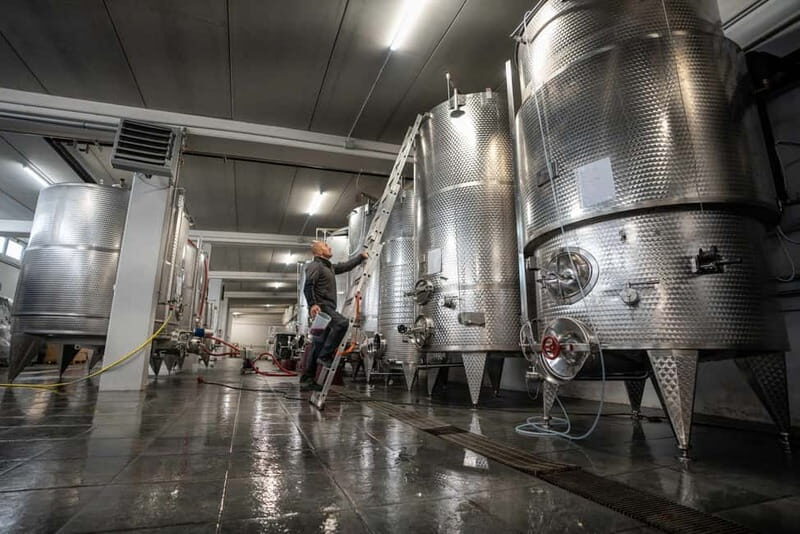 Monforte d'Alba: 7 glasses of Langhe with visit to Winery and Vineyards - Final Thoughts