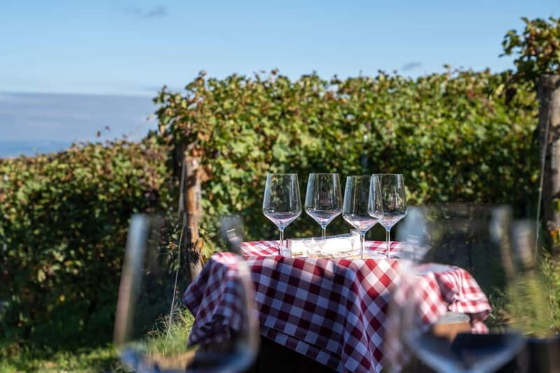 Monforte d'Alba: 7 glasses of Langhe with visit to Winery and Vineyards - FAQs