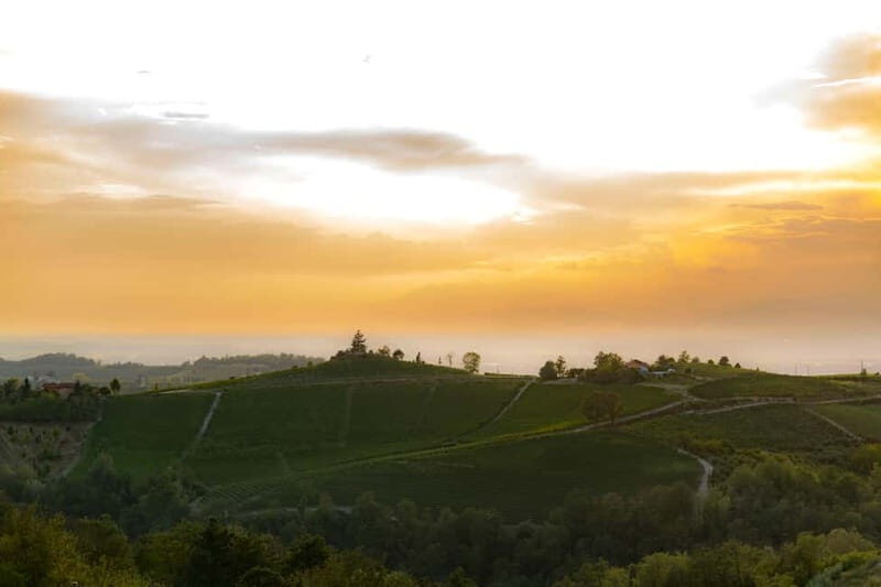 Monforte d'Alba: Picnic & Big Benches - Who Would Love This Tour?