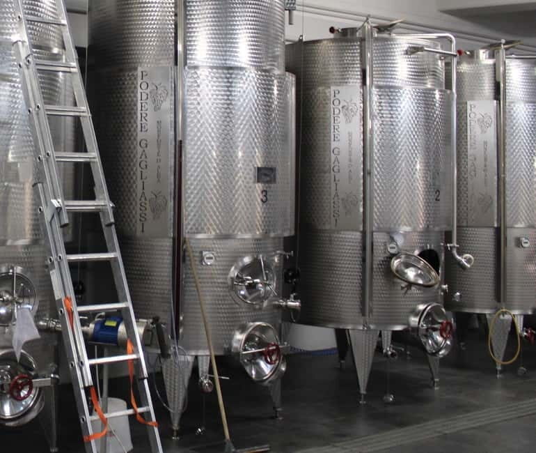 Monforte d'Alba: Wine Tasting, Cellar Visit, and Vineyard Tour - Key Points