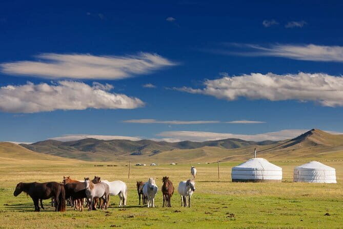 Mongolian Gobi Desert and Terelj Private Tour - Frequently Asked Questions