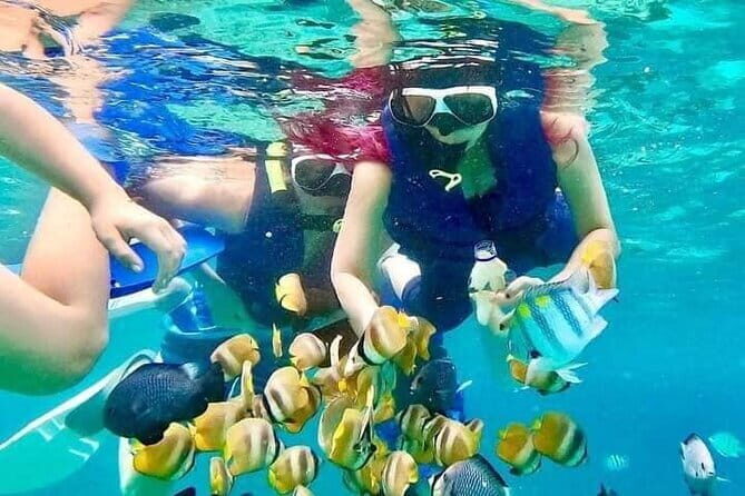 Monkey Bar and snorkling adventure at blue lagoon. - Authentic Insights from Travelers