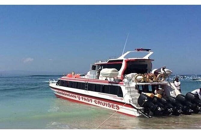 Monkey Bar and snorkling adventure at blue lagoon. - Who Will Love This Tour?