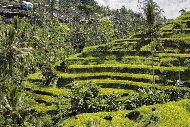 Monkey Forest, Rice Terrace & Water Temple Tour - FAQs