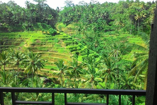 Monkey Forest, Ubud, Waterfall and Rice Terrace - An In-Depth Look at Ubud’s Private Tour