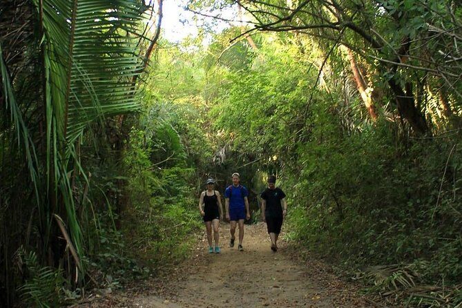 Monkey Mountain Jungle Hike Adventure - Final Thoughts: Is It Worth It?