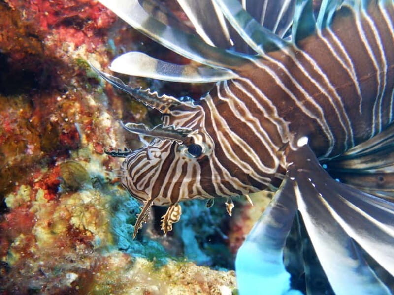 Mononaftis: Certified Scuba Diving - The Experience in Detail