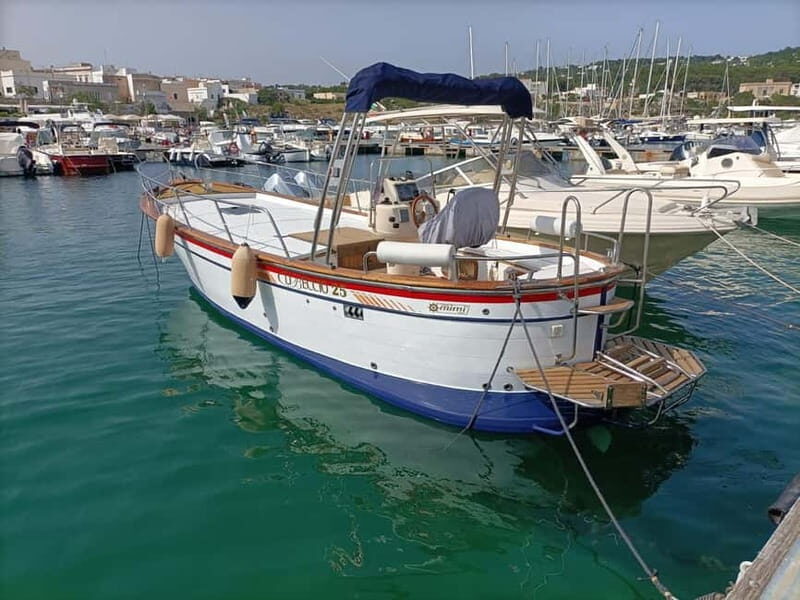 Monopoli: 2.5 Hour Boat Tour to the Polignano a Mare Caves - The Caves & Highlights