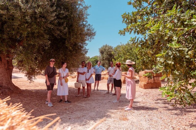 Monopoli: Parco Rurale Tour with Apulian Food Tasting - Who Will Enjoy This Tour?