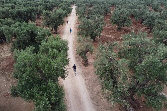 Monopoli's Countryside by Bike - A Deep Dive Into the Monopoli Countryside Bike Tour