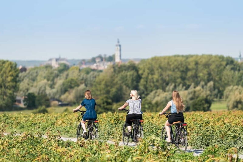 Mons : City Center Bike Rental for Sightseeing & Exploring - Key Points