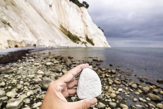 Møns klint and The Forest tower - A day tour from Copenhagen - Wrapping Up