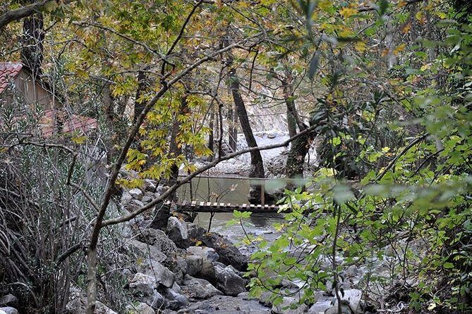 Monster Green Canyon Safari with Lunch - Authentic Insights from Reviewers