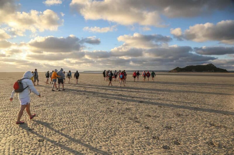 Mont-saint-Michel : Walk in the heart of the Bay - Authenticity and Guides: What Sets This Tour Apart