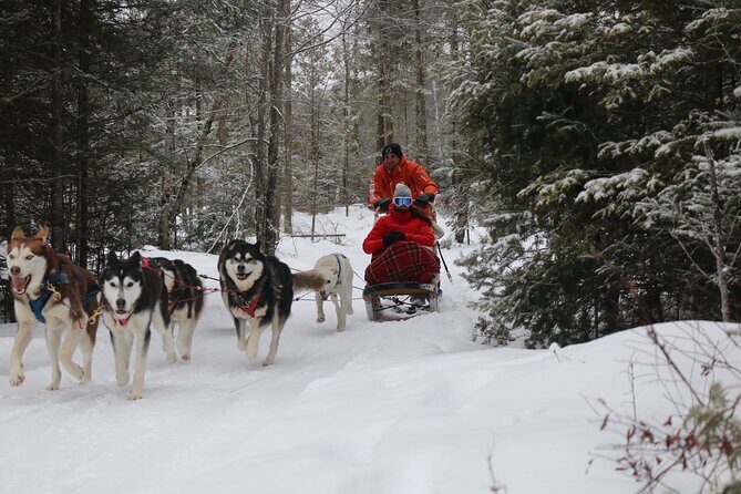 Mont Tremblant Dogsledding Valley Adventure - Practical Details & Tips