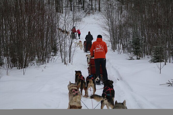 Mont Tremblant Dogsledding Valley Adventure - Final Thoughts: Is the Mont Tremblant Dogsledding Valley Adventure Worth It?