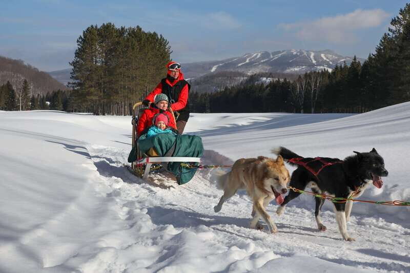 Mont-Tremblant: Guided Dogsledding Tour with Hot Chocolate - Introduction: A Unique Winter Adventure in Mont-Tremblant