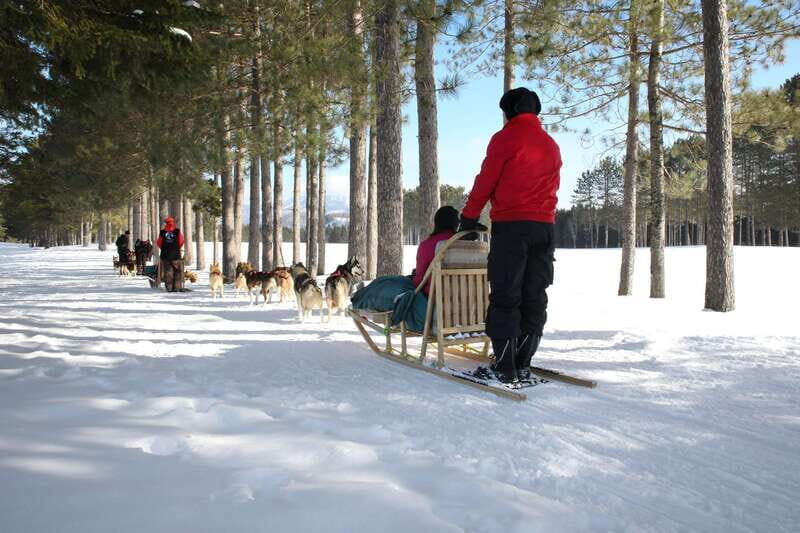 Mont-Tremblant: Guided Dogsledding Tour with Hot Chocolate - The Practical Details