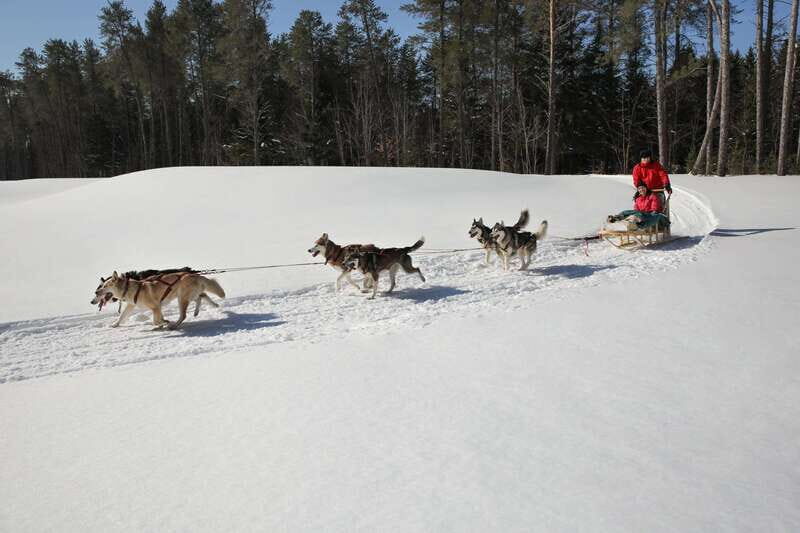 Mont-Tremblant: Guided Dogsledding Tour with Hot Chocolate - Authenticity and Reviews: What Travelers Say