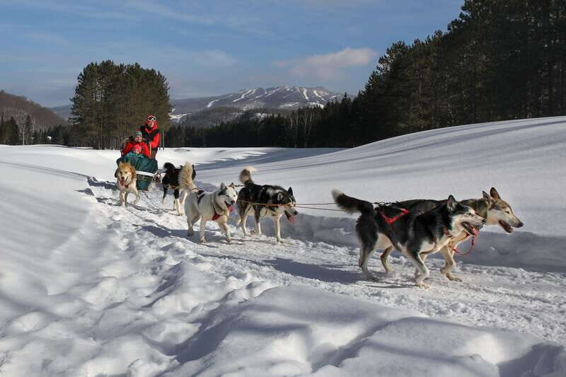 Mont-Tremblant: Guided Dogsledding Tour with Hot Chocolate - The Experience in Context: What You Get for Your Money