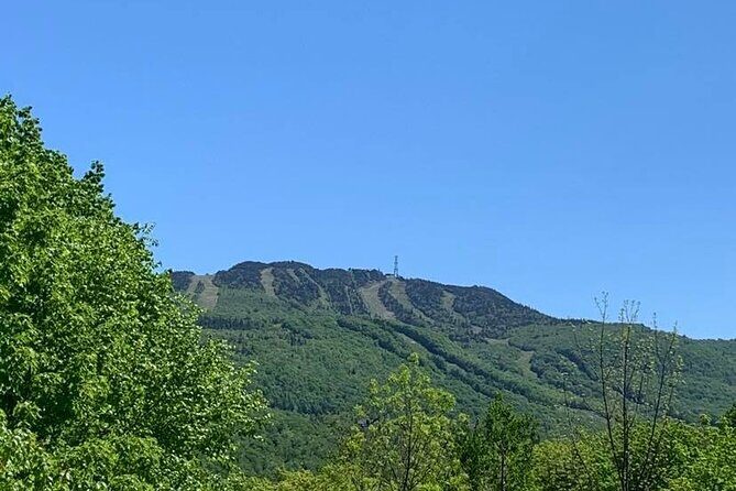 Mont Tremblant Private Day Tour from Montreal - Final Thoughts