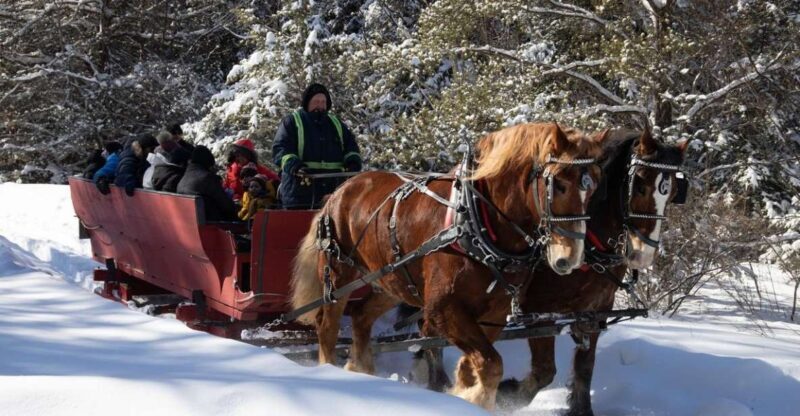 Mont-Tremblant: Sleigh Ride w/ Storytelling & Hot Chocolate - The Experience in Detail: A Step-by-Step Breakdown