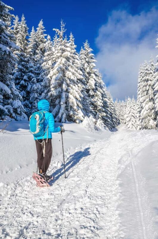 Mont-Tremblant: Snowshoe Rental with Trail Maps - Who Will Love This Experience?