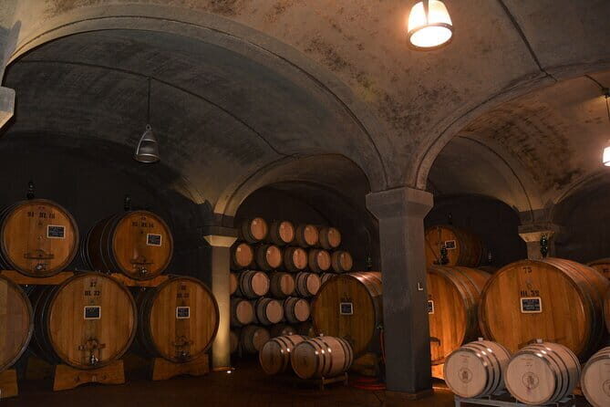 Montalcino and Brunello Wine Private Tour - Who Should Consider This Tour?