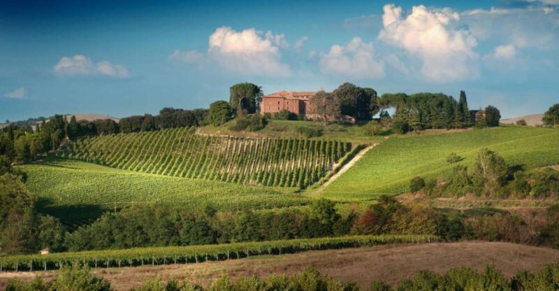 Montalcino: Brunello Wine Tasting Experience - An In-Depth Look at the Experience