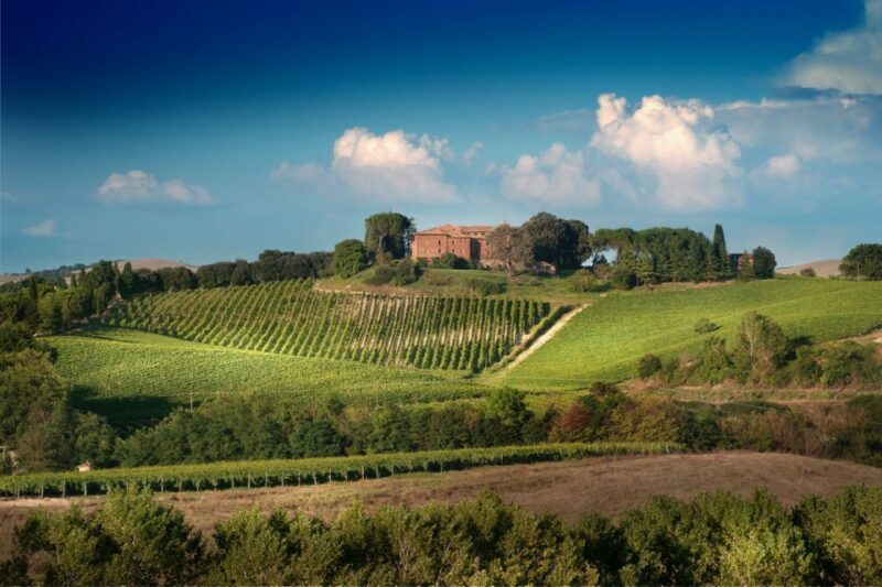 Montalcino: Brunello Wine Tasting Experience - Frequently Asked Questions