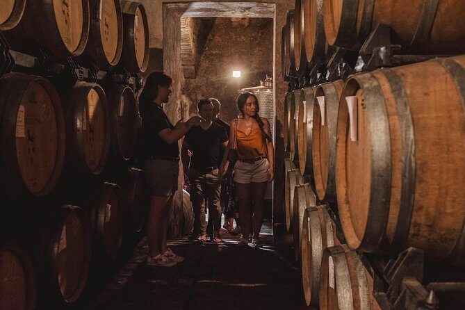 Montalcino Castle and Vineyards tour with tasting - What to Expect on the Tour