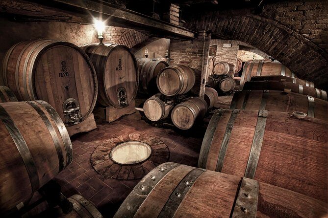 Montalcino Castle and Vineyards tour with tasting - The Sum Up: Is This Tour Worth It?