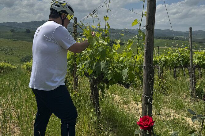 MONTALCINO Essence: Your PRIVAT E-Bike Experience, Top Quality! - The Bottom Line