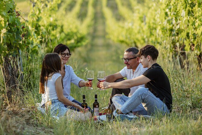 Montalcino: exclusive picnic in the vineyard with wine basket - The Sum Up