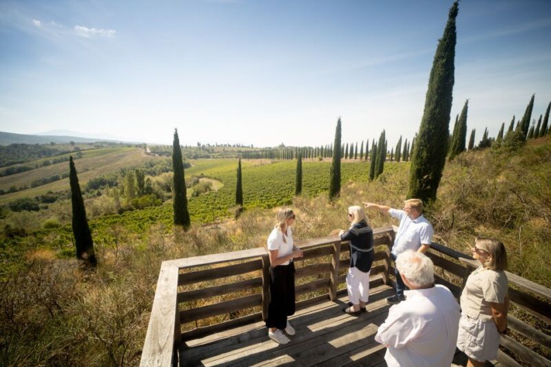 Montalcino: Guided Winery Tour and Wine Tasting - Discover the Charm of Tuscany with a Guided Winery Tour in Montalcino