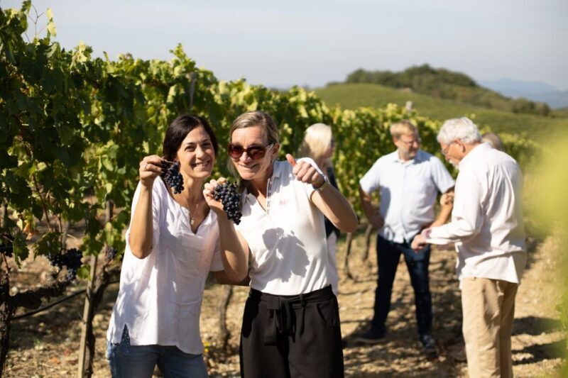 Montalcino: Guided Winery Tour and Wine Tasting - Key Points