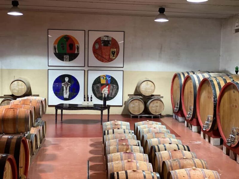 Montalcino: Molino Winery Tour & Wine Tasting - Final Thoughts