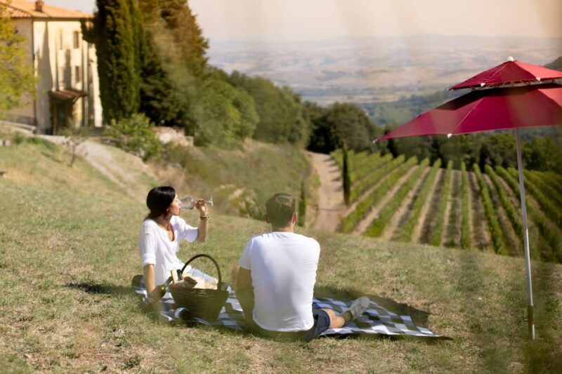 Montalcino: Vineyard Picnic with a Bottle of Wine - A Detailed Look at the Vineyard Picnic Experience in Montalcino