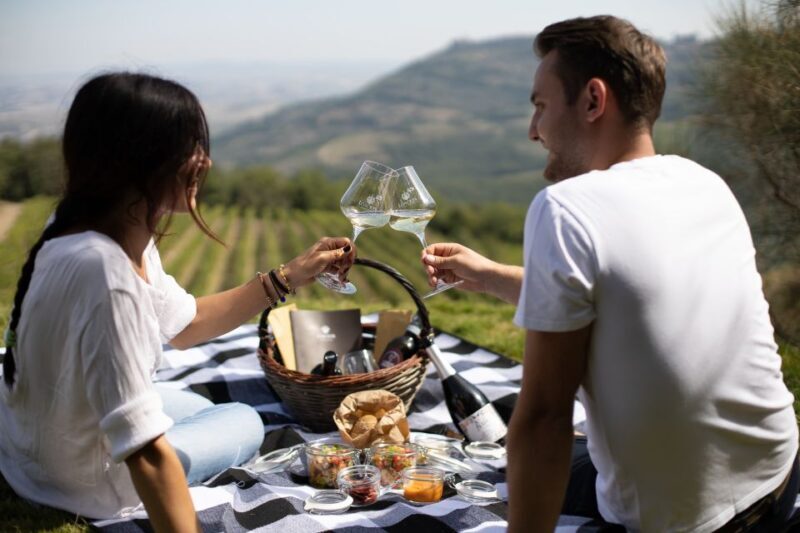 Montalcino: Vineyard Picnic with a Bottle of Wine - What Could Be Considered
