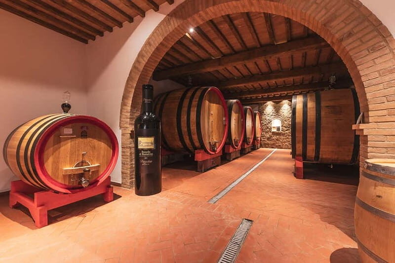 Montalcino: Vinyard Tour with Vertical Brunello Tasting - An Authentic Taste of Tuscany in a One-Hour Tour