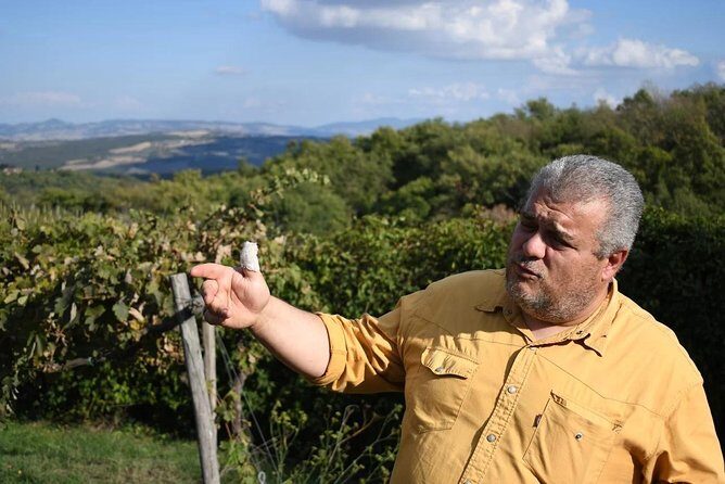 Montalcino wine tour - FAQs