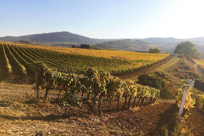 Montalcino wine tour - Final Thoughts