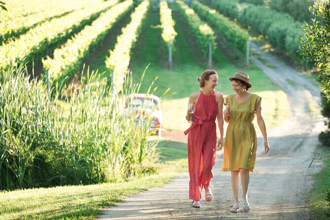 Montalto Vineyard: Mornington Peninsula Discovery Wine Tasting and Lunch - Introduction: A Taste of Mornington Peninsula’s Best