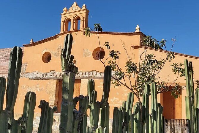 Monte Albán Bike Tour: history, culture and scenery. - The Sum Up
