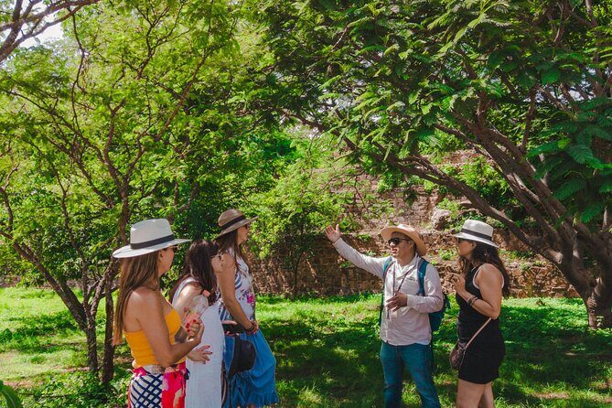 Monte Albán, Black Pottery and Alebrijes Full Day Tour. - Practical Details and Overall Experience