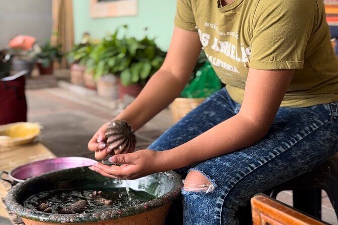 Monte Alban, Mezcal factory, chocolate and artisan houses - Exploring Monte Albán: The Roots of Oaxaca